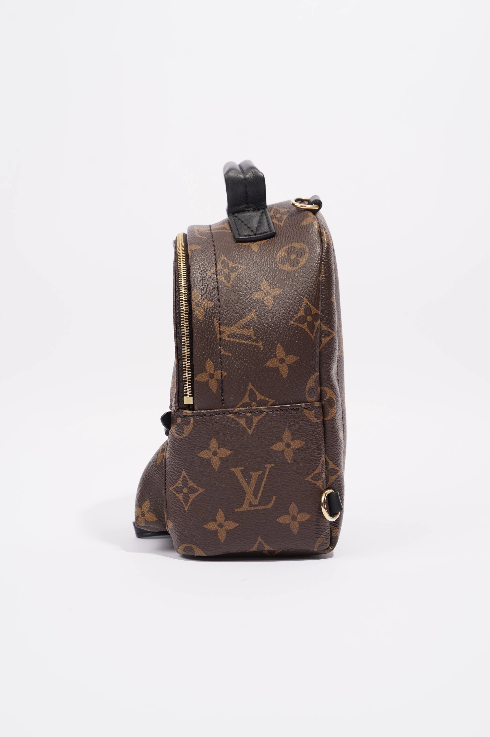 Louis Vuitton Womens Palm Springs Backpack Monogram Canvas Mini
