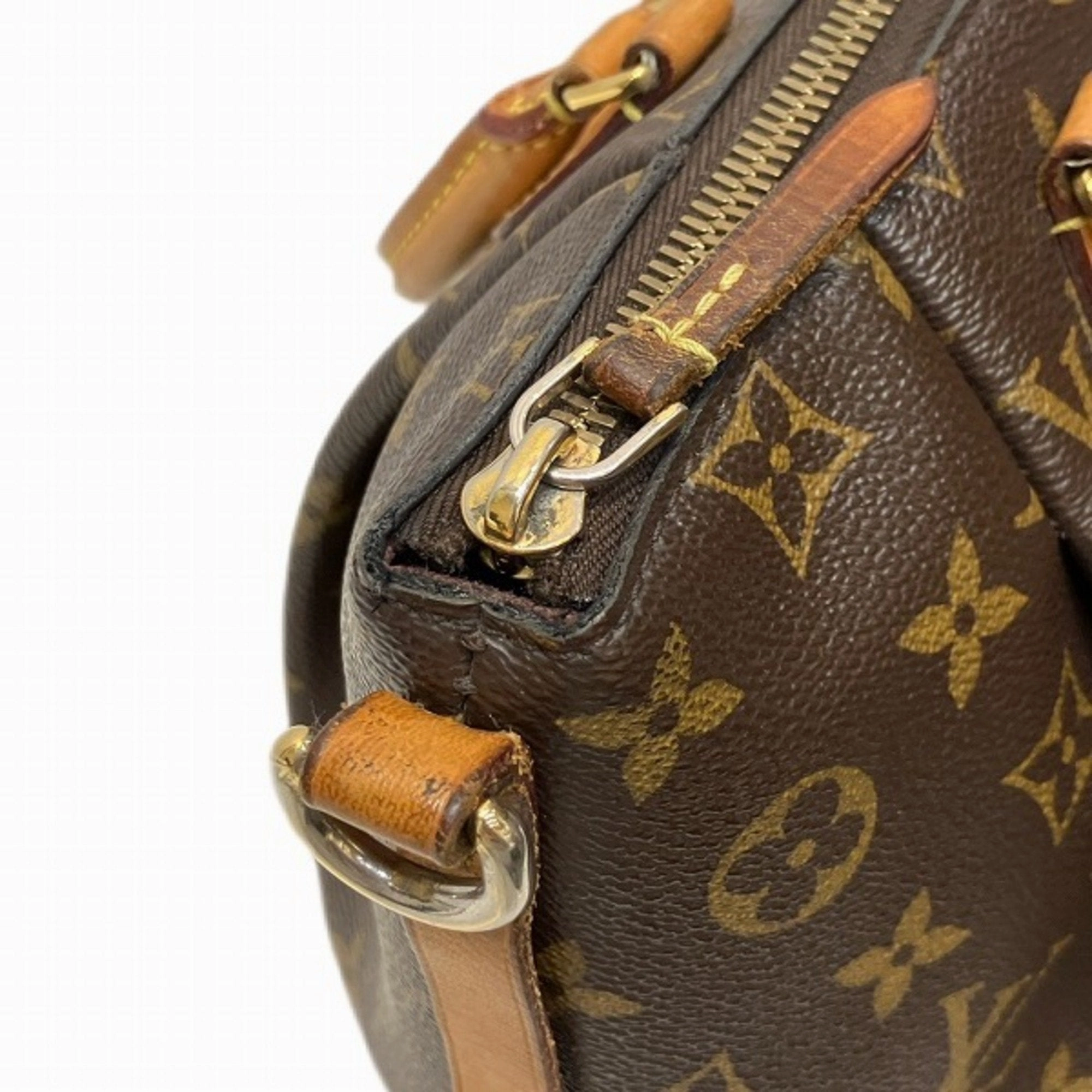 Mini Lin Monogram Shoulder Bag