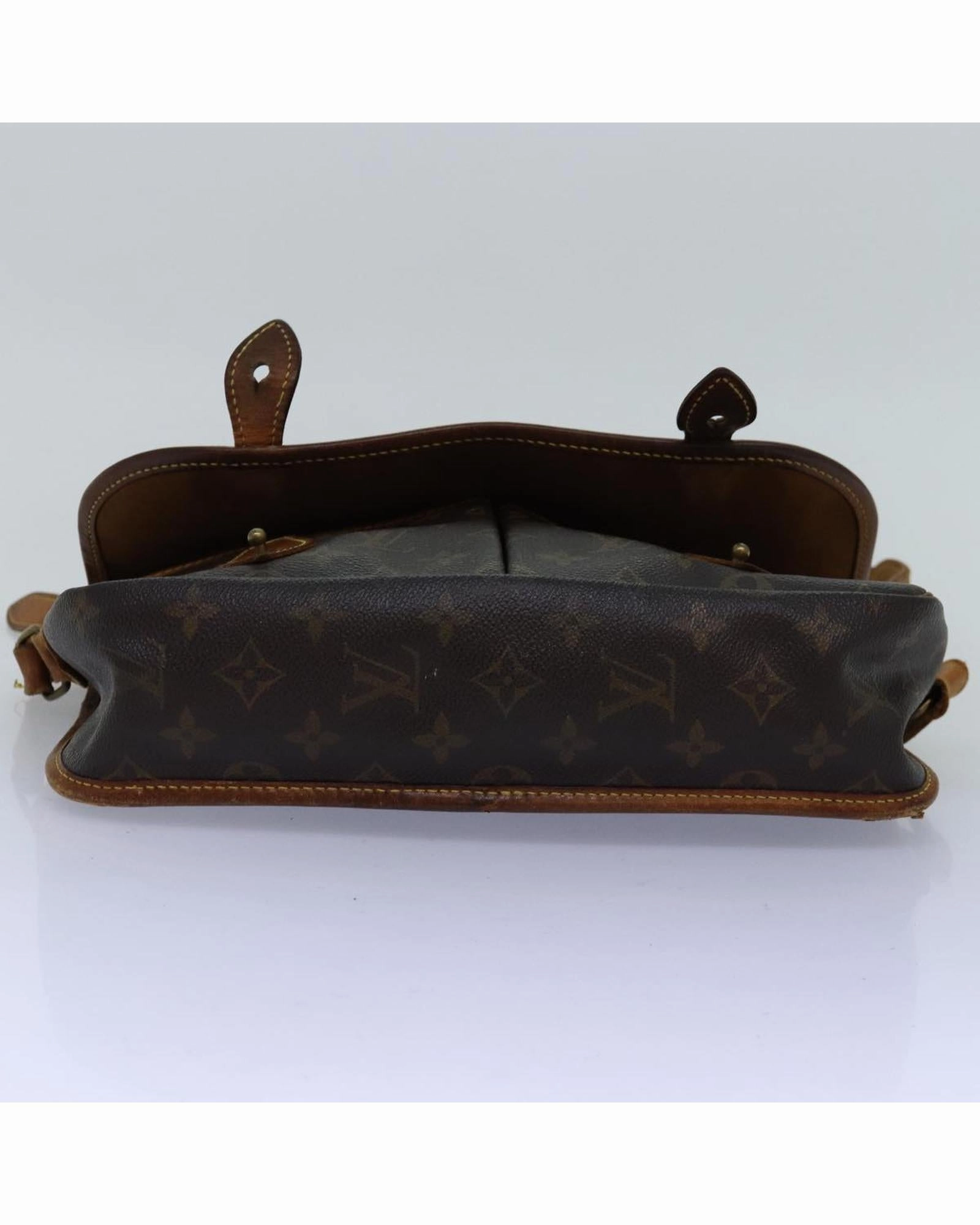 Monogram Canvas Pochette Crossbody Shoulder Bag