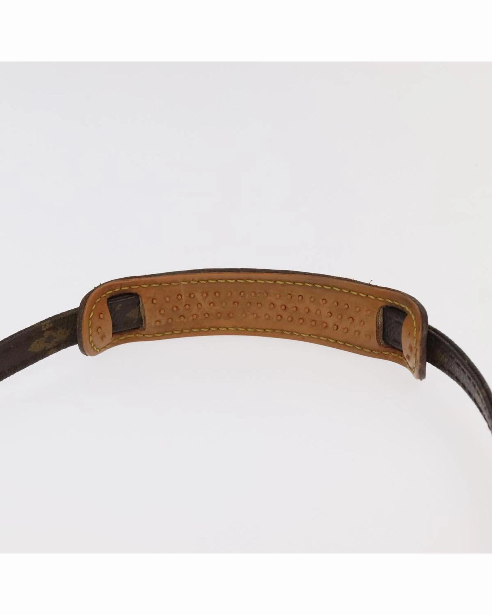 Monogram Mini Danube Shoulder Bag