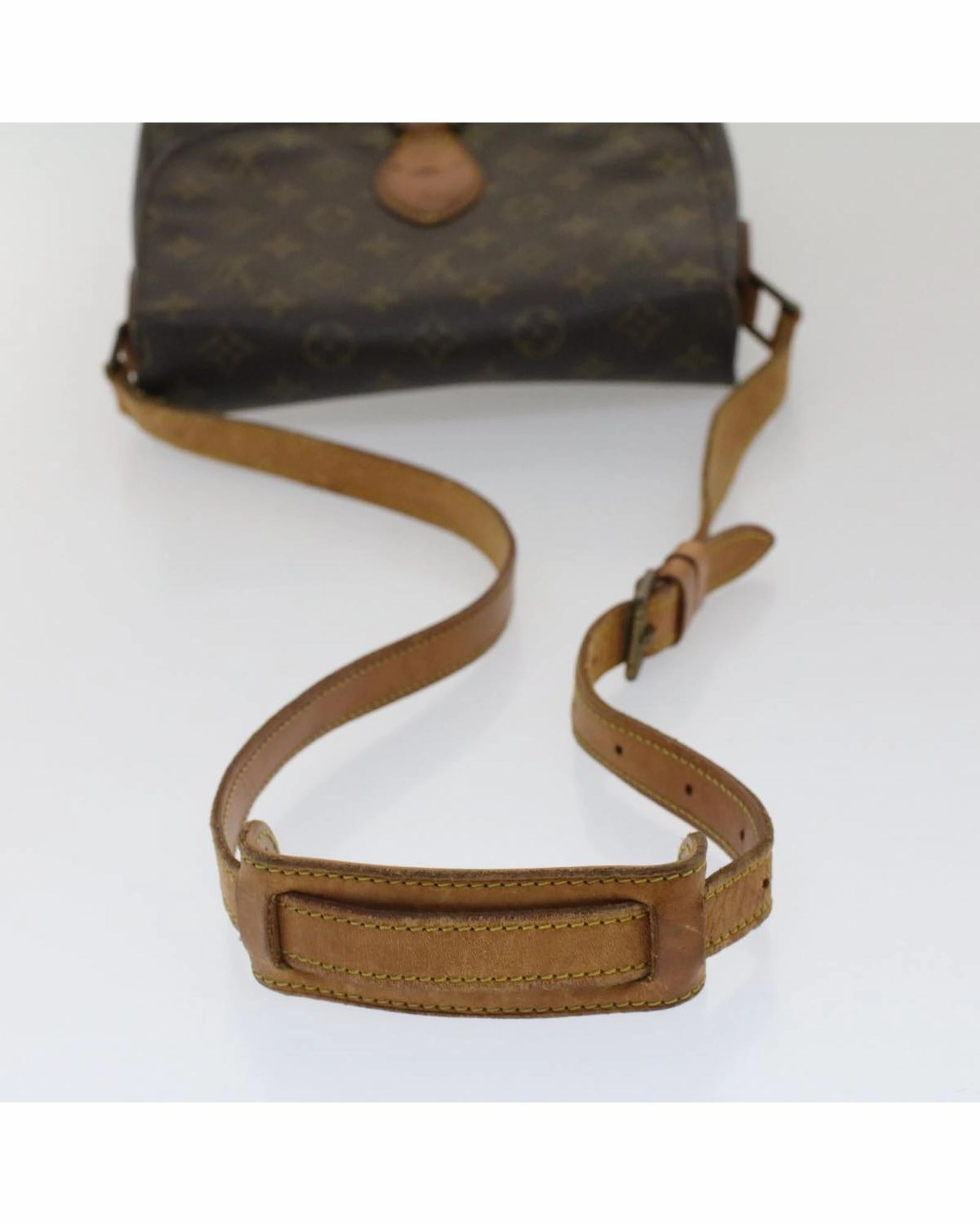 Monogram Pochette Accessories Shoulder Bag