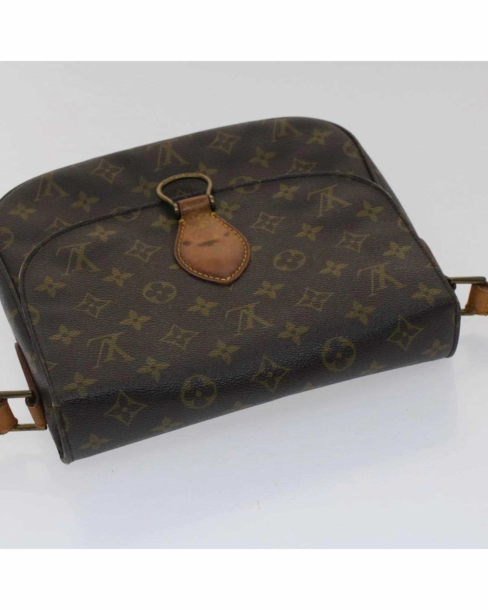 Monogram Pochette Accessories Shoulder Bag