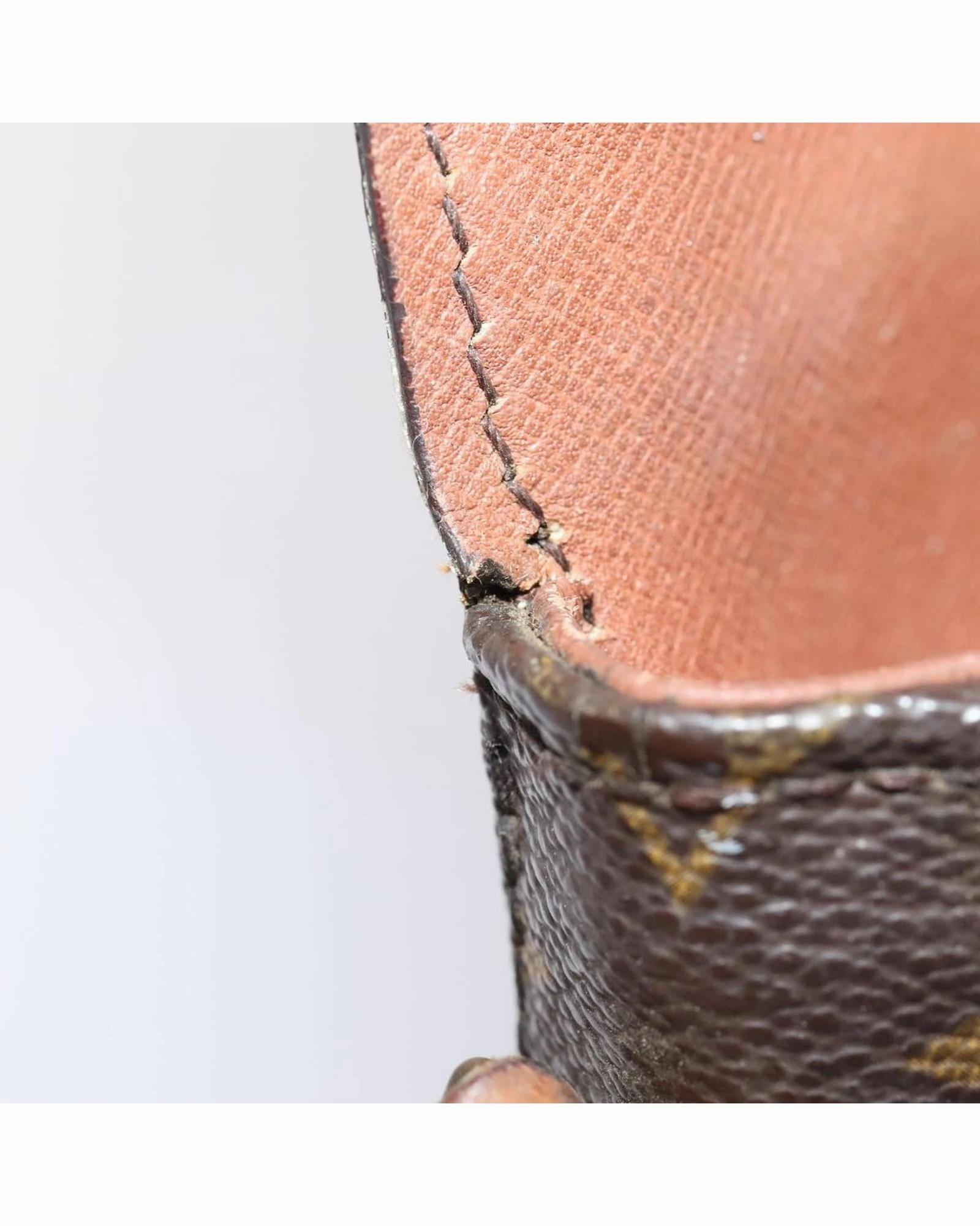 Monogram Pochette Crossbody Bag