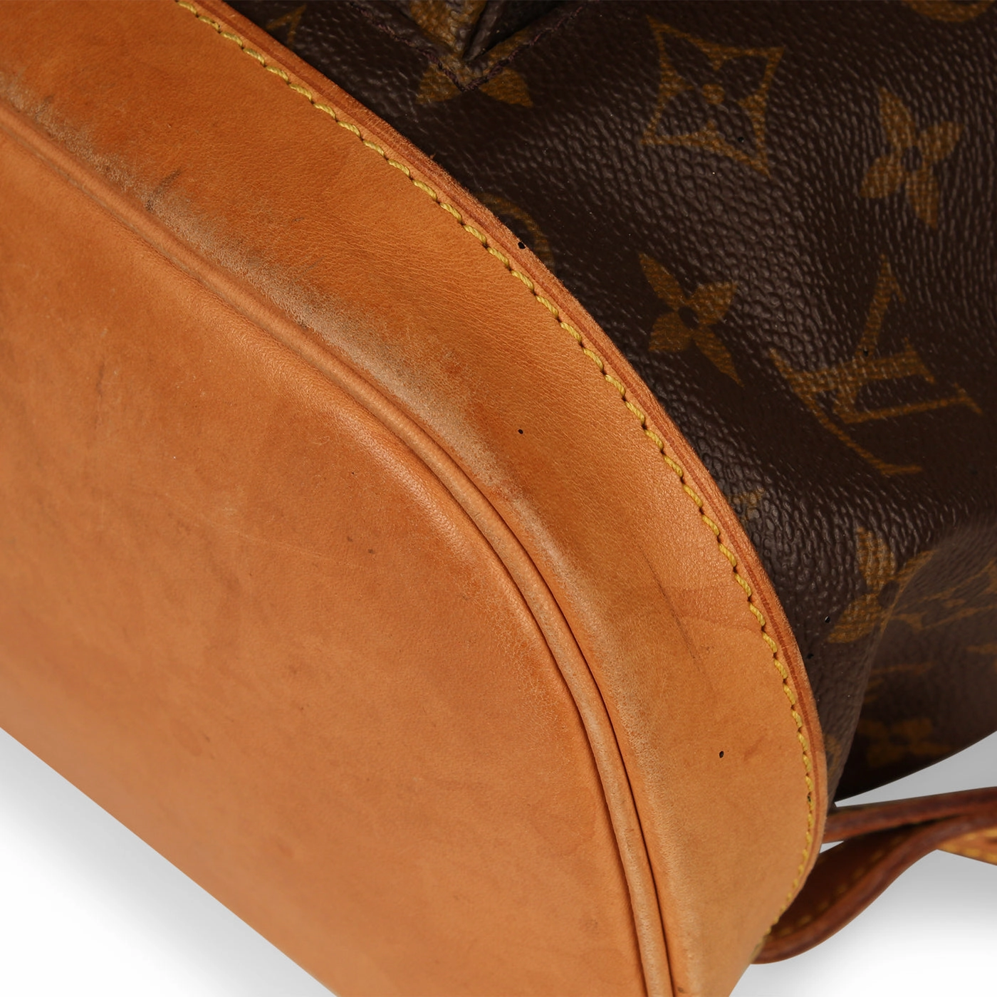 Montsouris Backpack Monogram Canvas