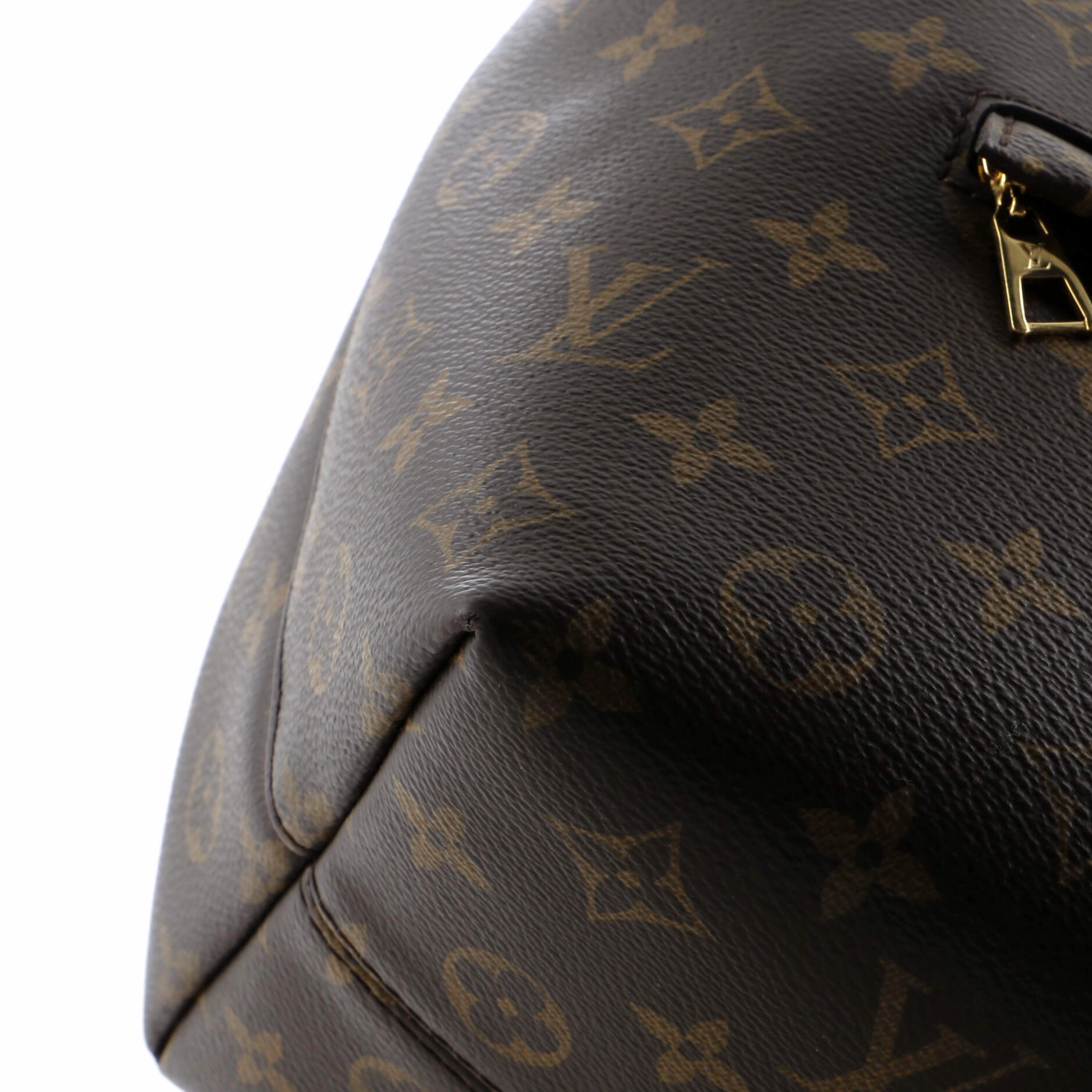 Montsouris NM Backpack Monogram Canvas with Leather PM