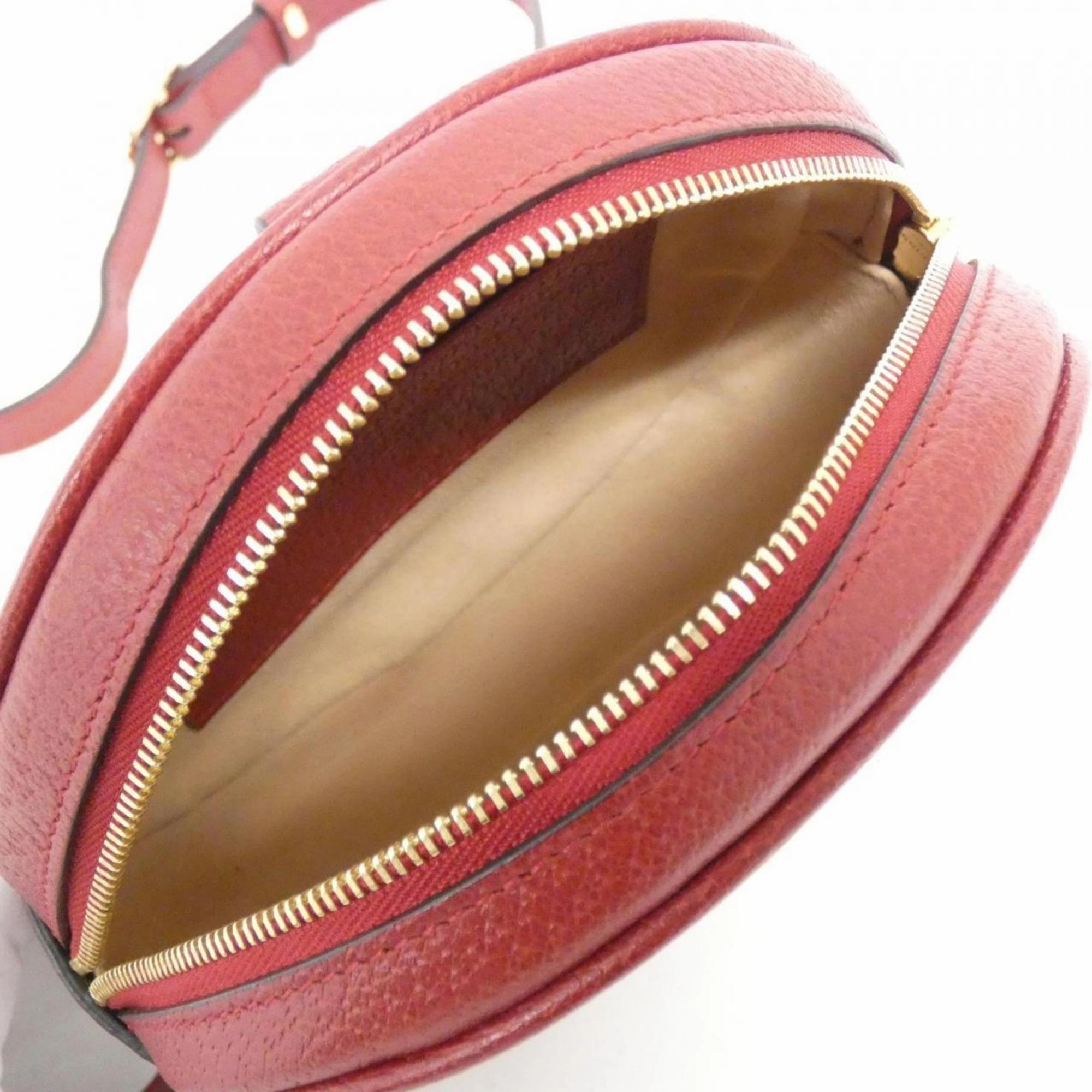 Ophidia Canvas Crossbody Bag