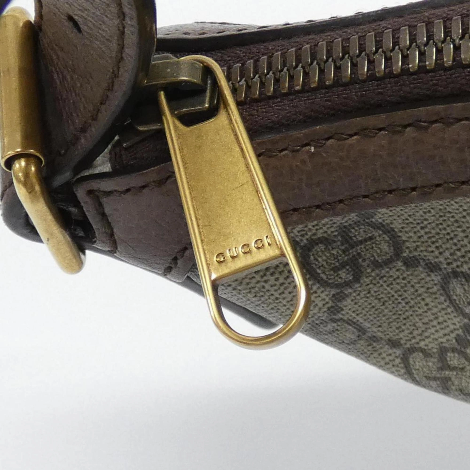 Ophidia Canvas Shoulder Bag