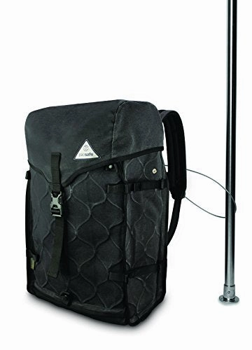 Pacsafe Z-28 Backpack