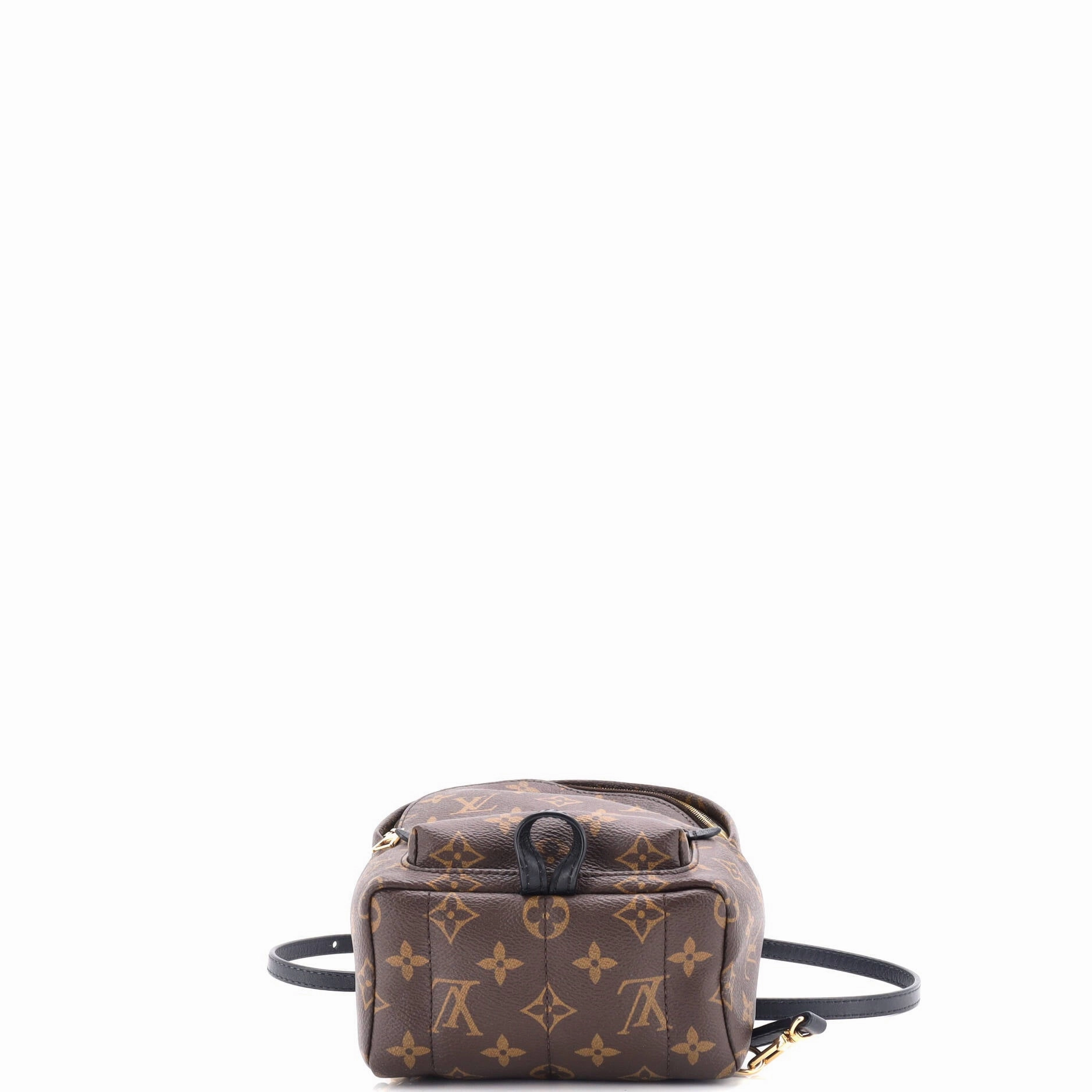 Palm Springs Backpack Monogram Canvas Mini