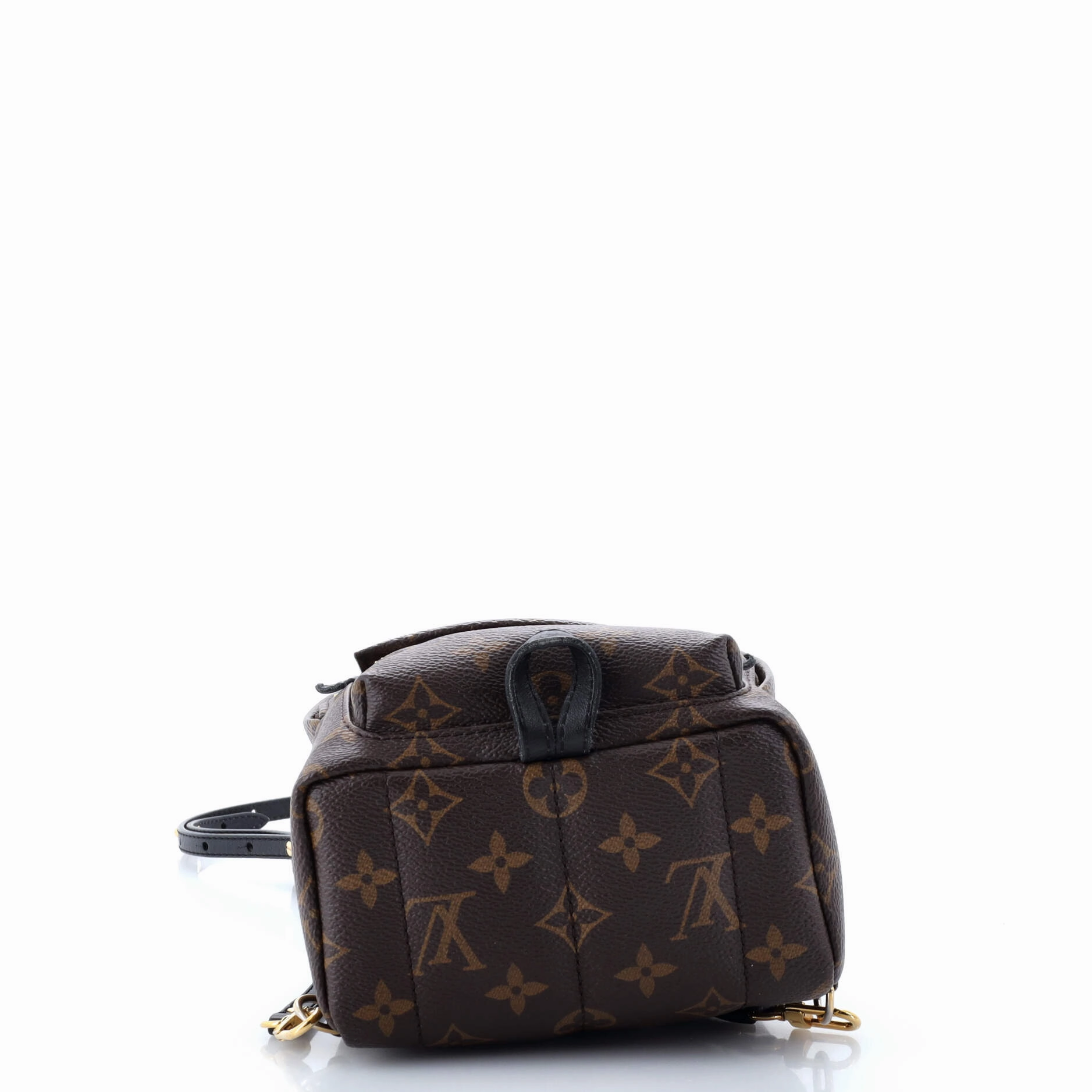 Palm Springs Backpack Monogram Canvas Mini