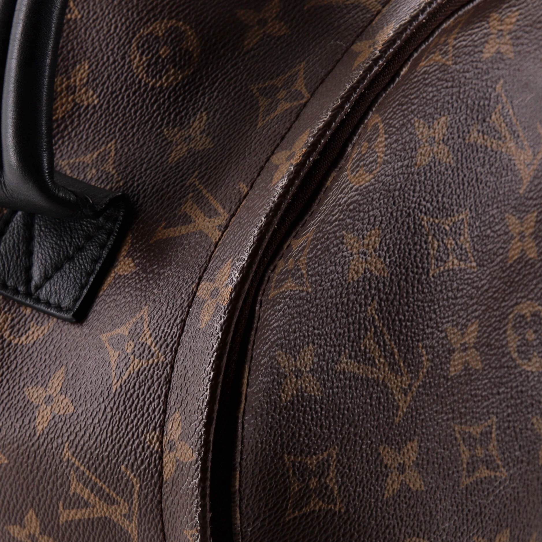 Palm Springs Backpack Monogram Canvas MM