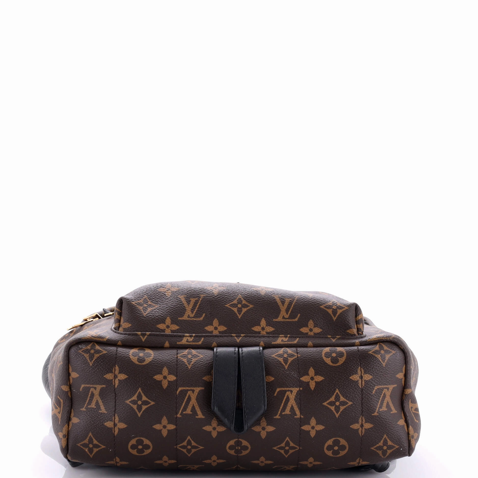 Palm Springs Backpack Monogram Canvas MM