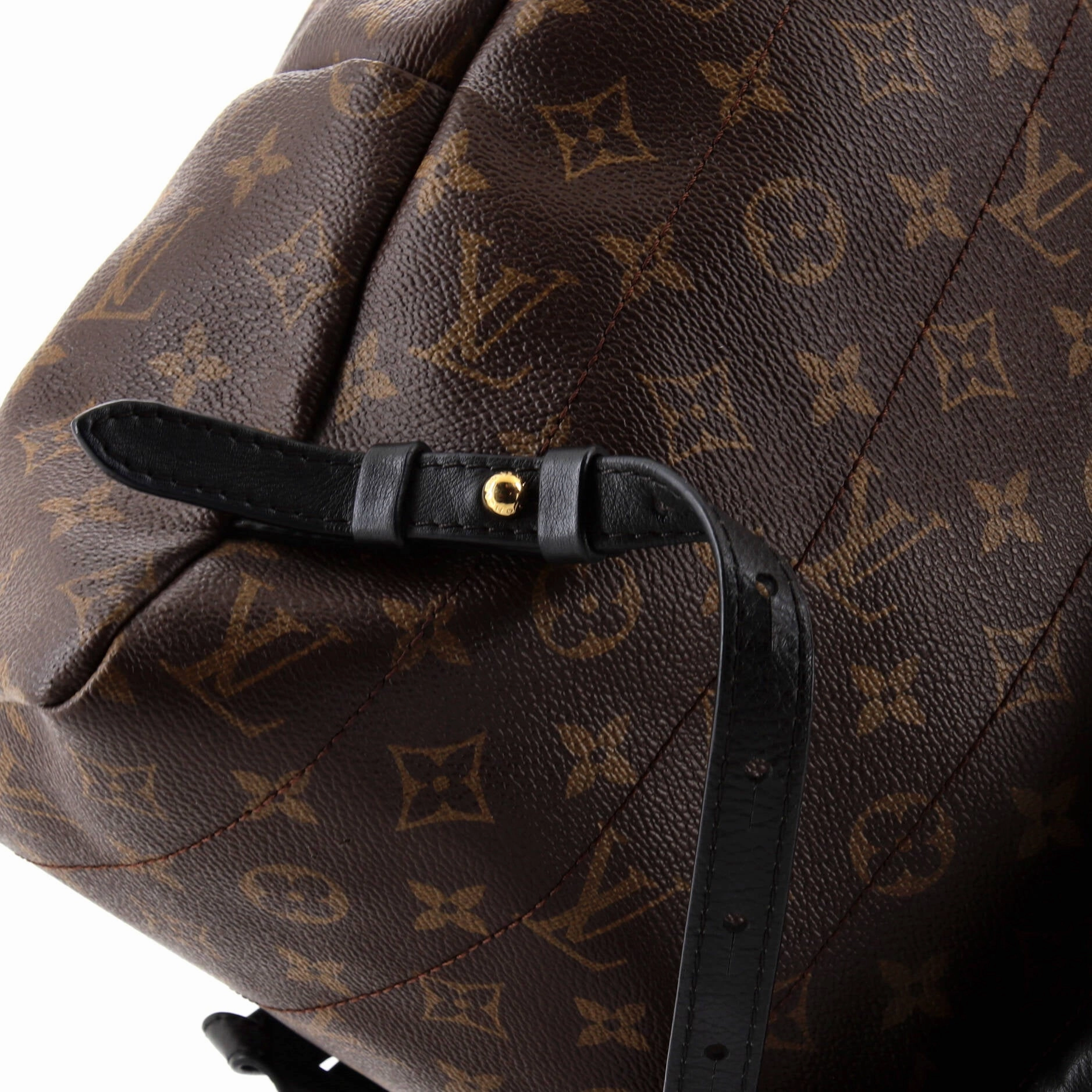 Palm Springs Backpack Monogram Canvas MM