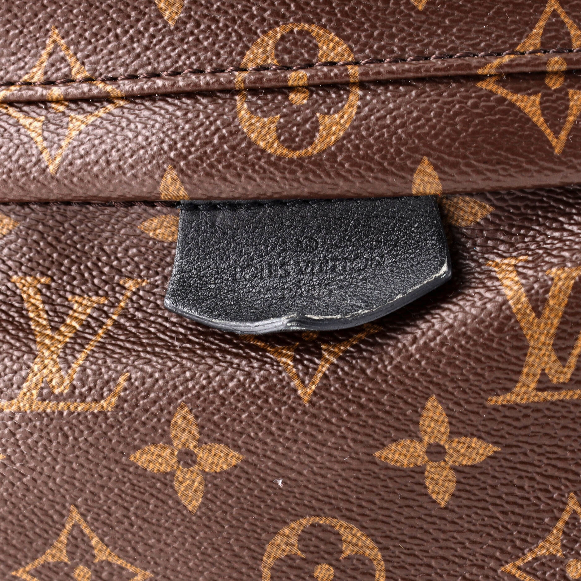 Palm Springs Backpack Monogram Canvas MM