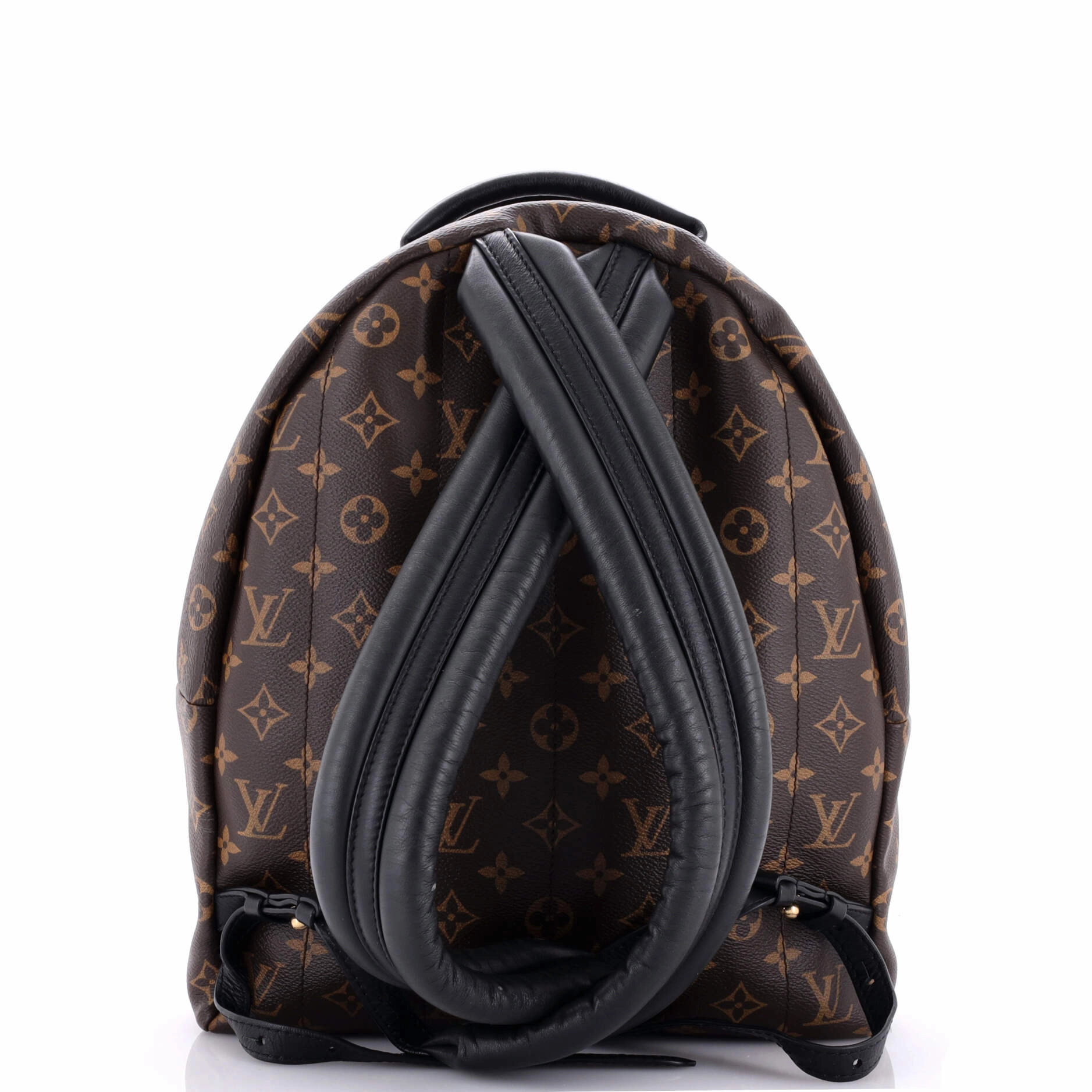 Palm Springs Backpack Monogram Canvas MM