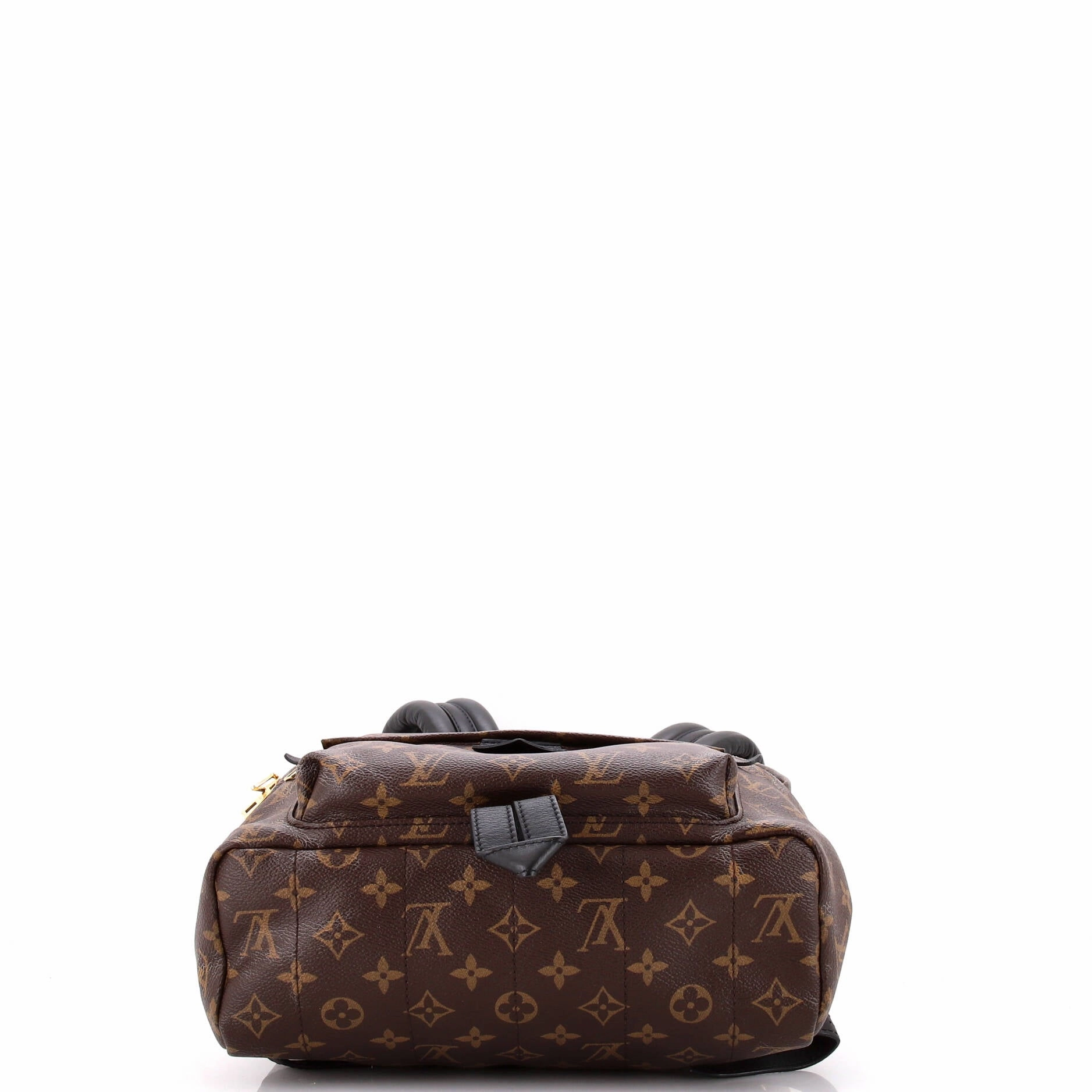 Palm Springs Backpack Monogram Canvas MM