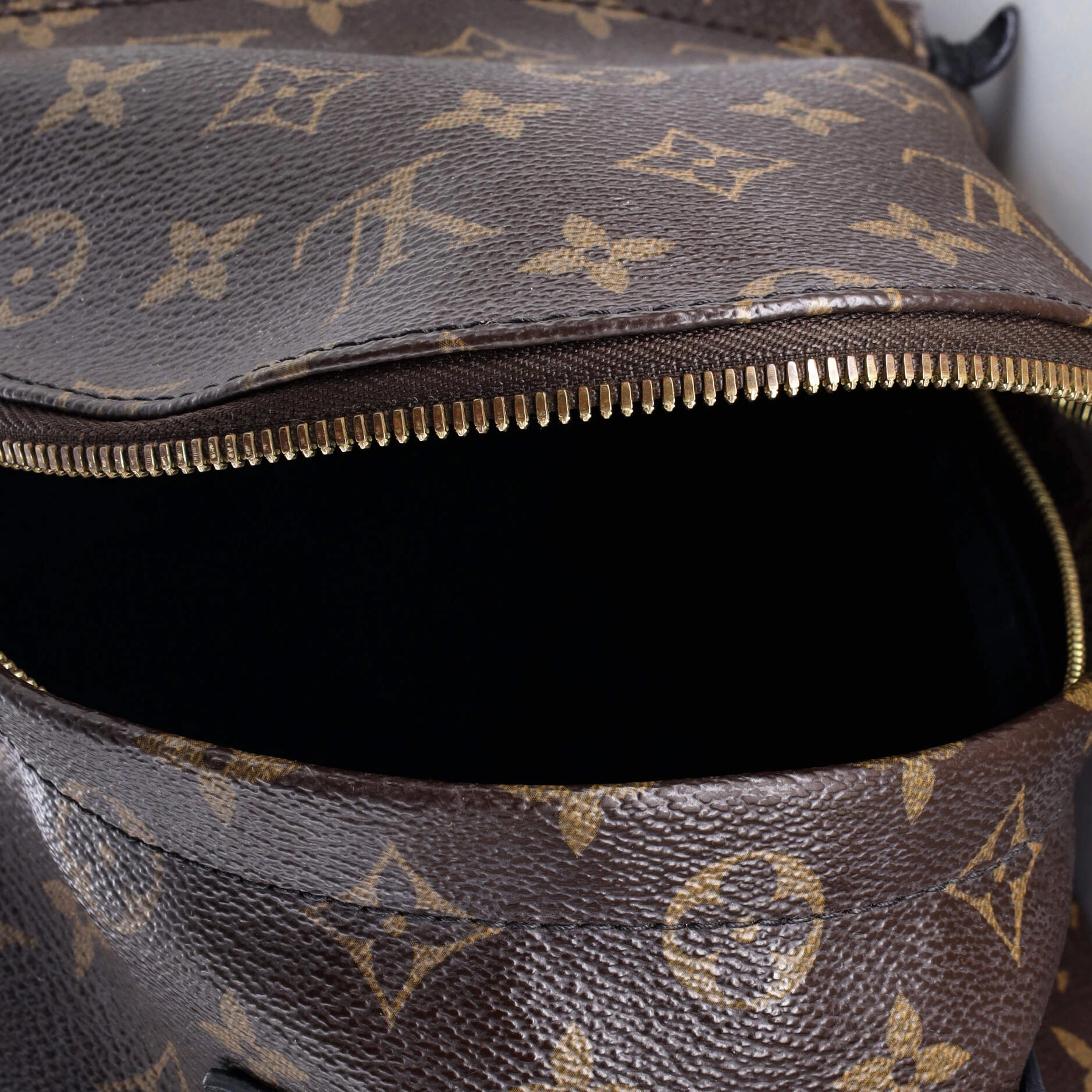 Palm Springs Backpack Monogram Canvas PM