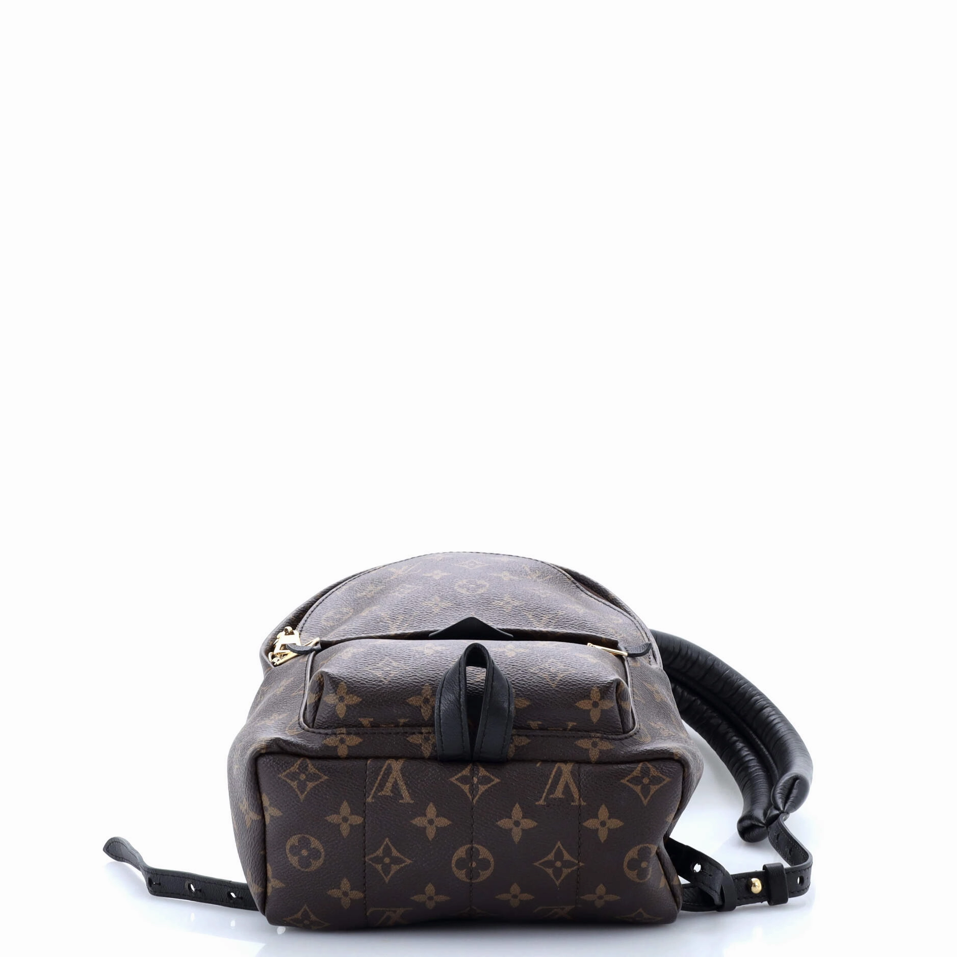 Palm Springs Backpack Monogram Canvas PM