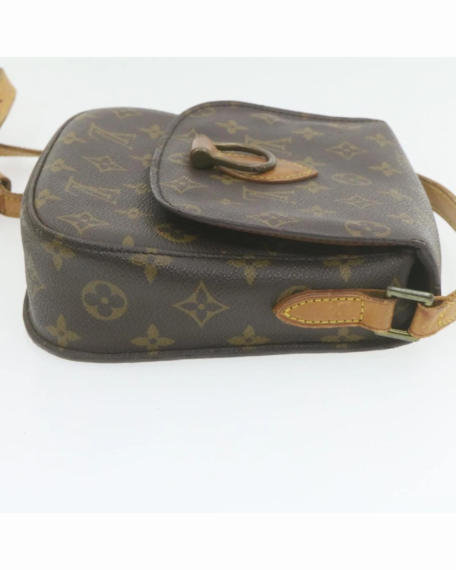 Postine Crossbody Bag Monogram Canvas
