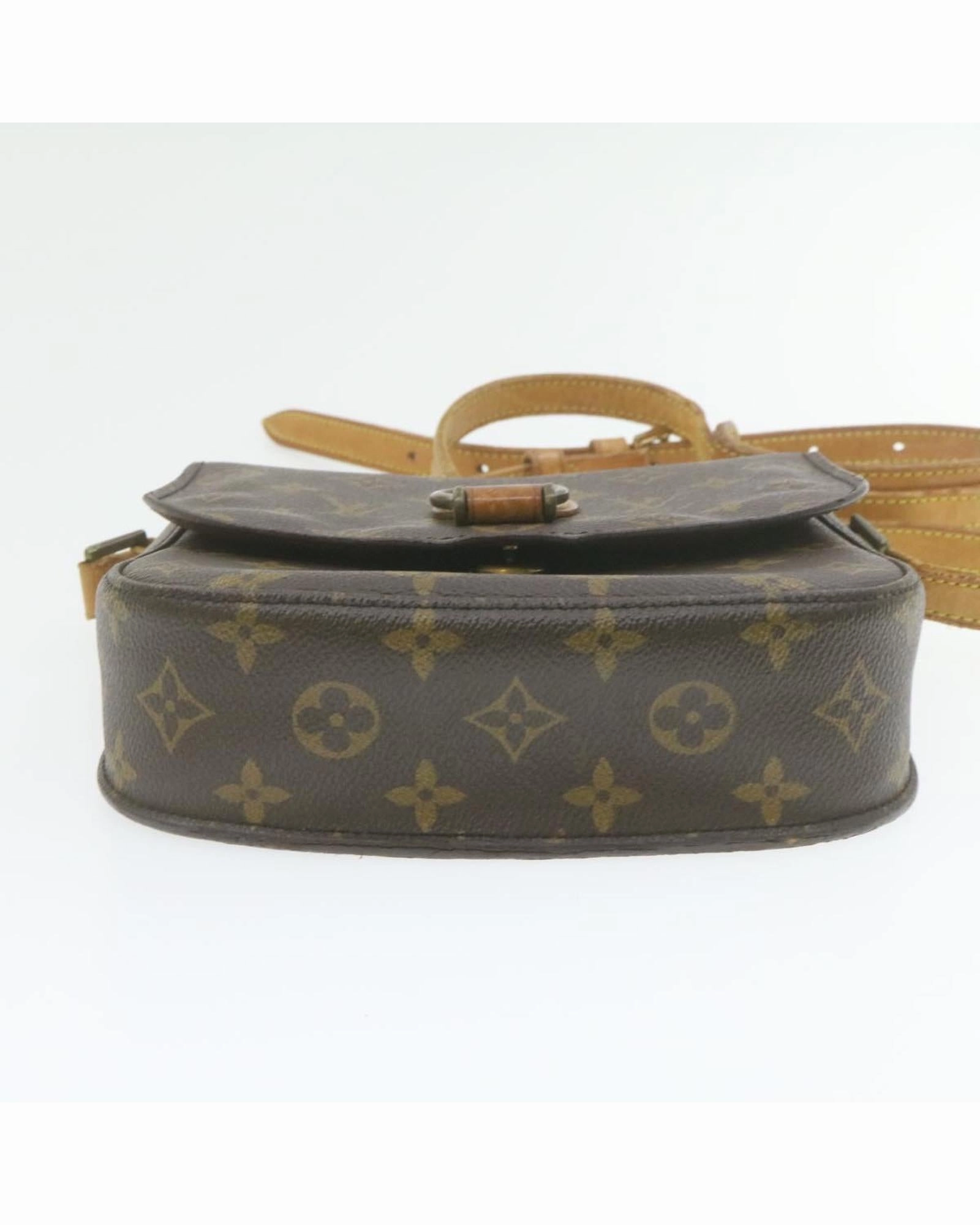 Postine Crossbody Bag Monogram Canvas