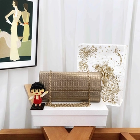 Preloved Dior Wallet on Chain (WOC) Gold Leather Crossbody Bag