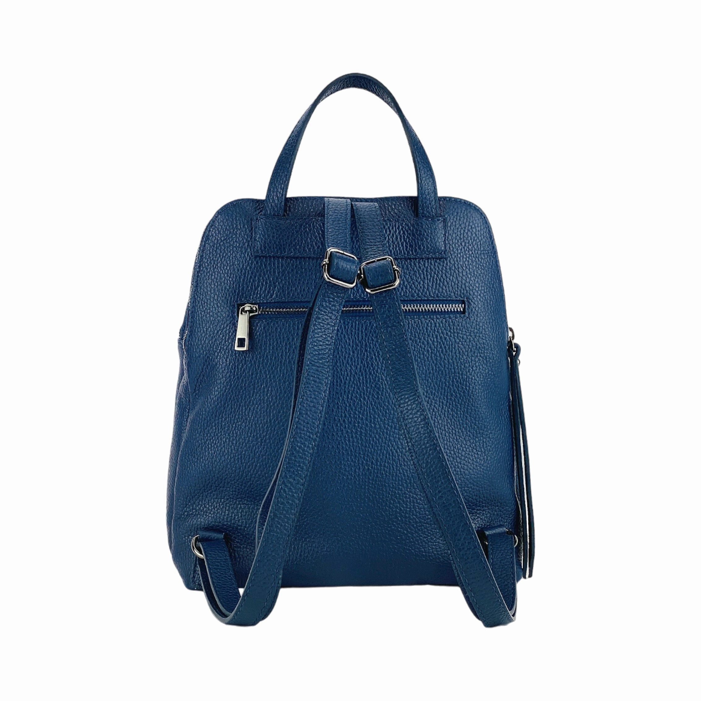Renato Borzatta Leather Double Compartment Backpack Blue