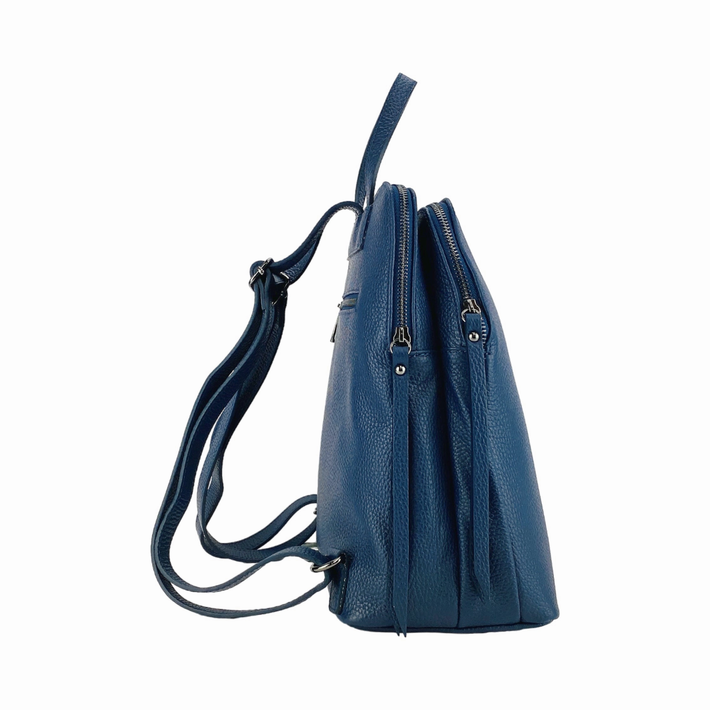 Renato Borzatta Leather Double Compartment Backpack Blue