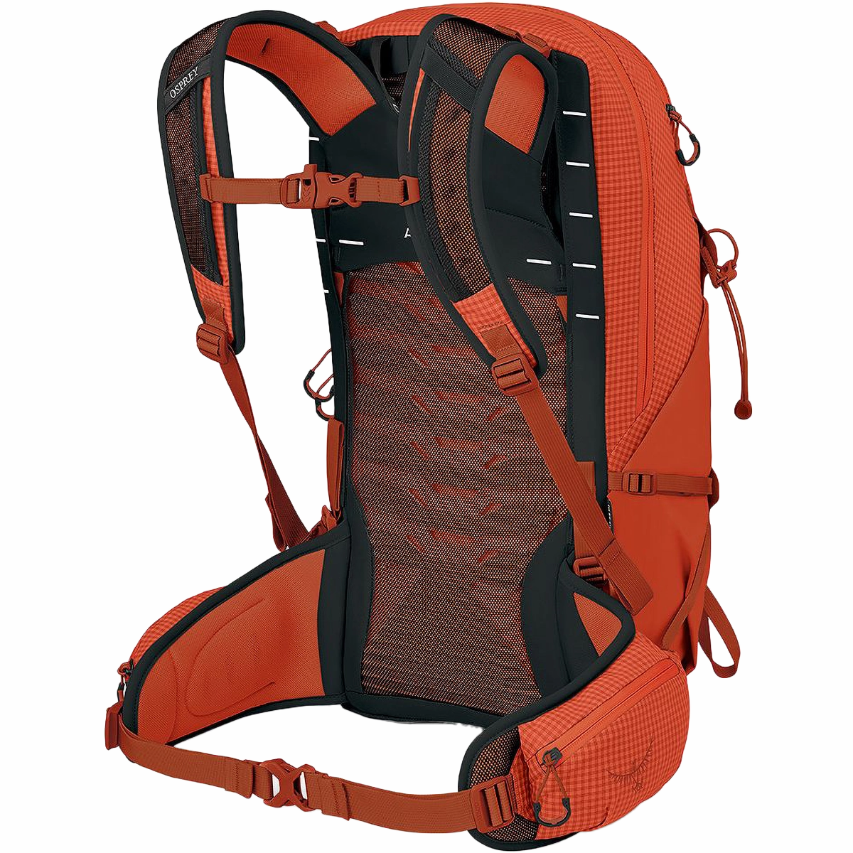 Talon Pro 20