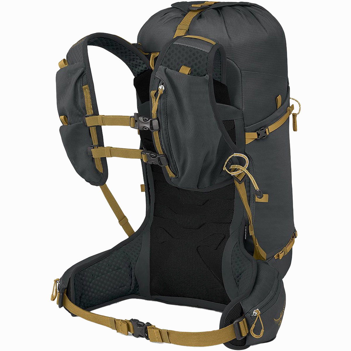 Talon Velocity 30