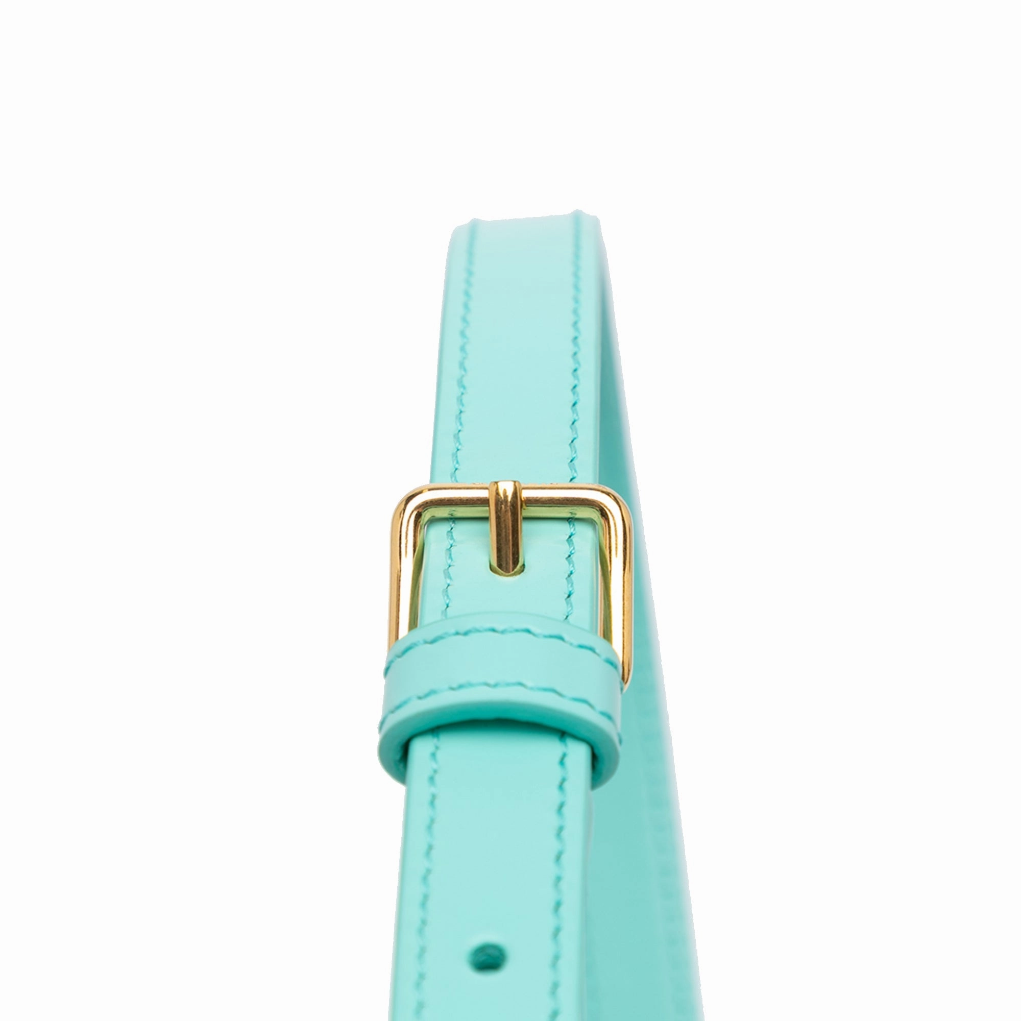 Triomphe Leather Claude Shoulder Bag