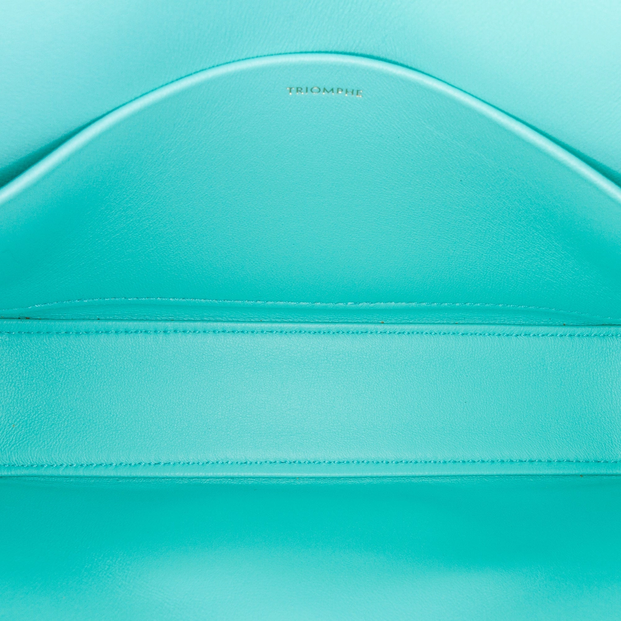 Triomphe Leather Claude Shoulder Bag