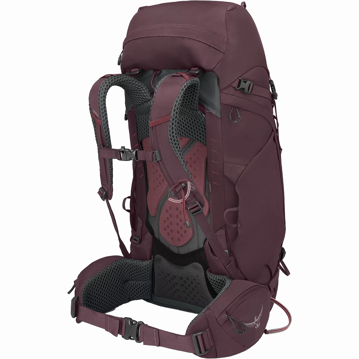Women's Kyte 48