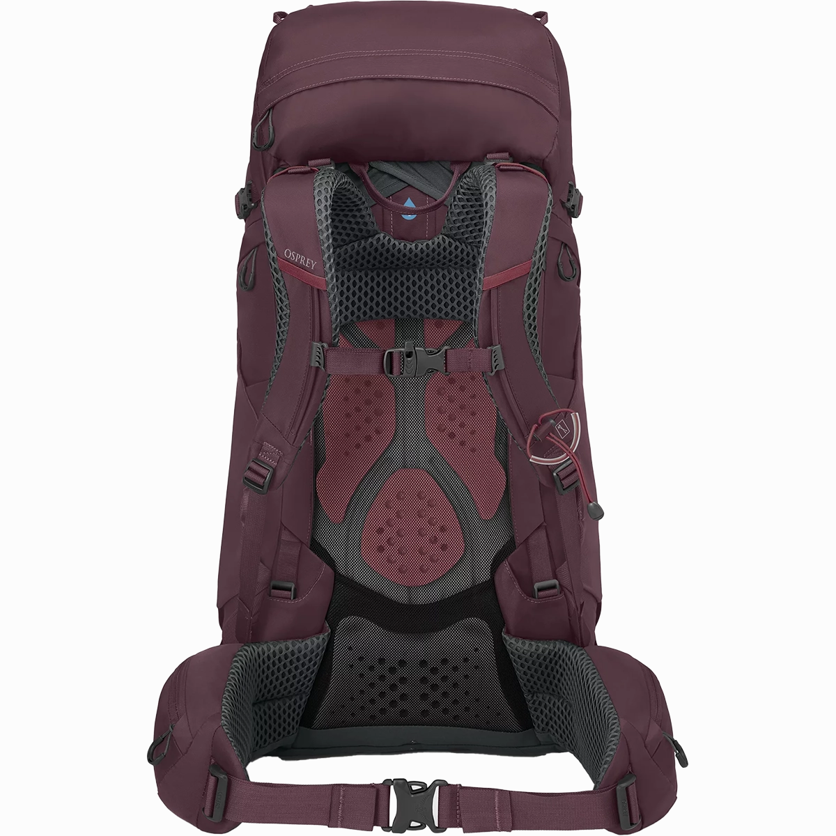 Women's Kyte 48