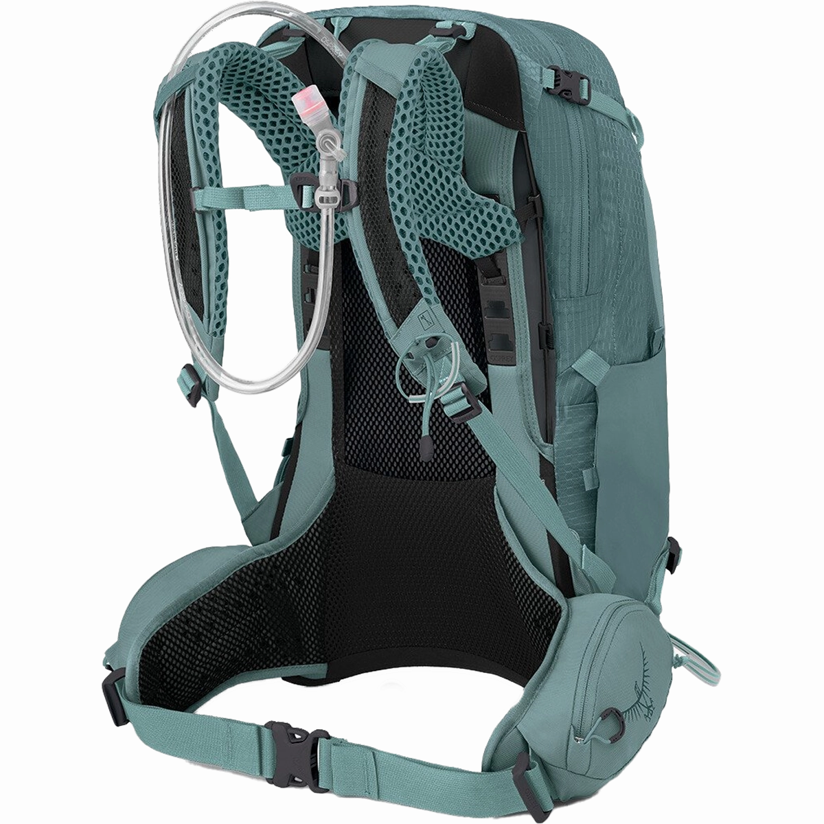 Women's Mira 22